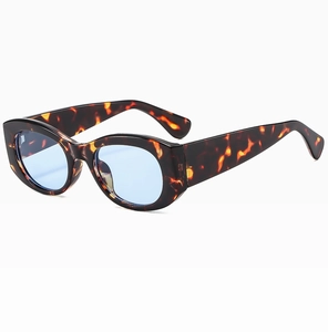 Detail of tortoise shell frame sunglasses with wide temples and light blue lenses
