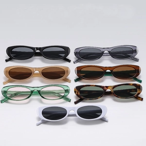 Retro Cat Eye Sunglasses PC Frame AC Lens UV400 Protection Small Oval Tinted Glasses Fashion Vintage Unisex Men Women