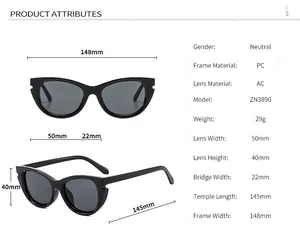 Detailed size guide and specifications for vintage cat-eye PC frame sunglasses
