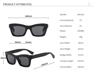 Tableau des tailles détaillé et spécifications pour lunettes de soleil œil-de-chat en PC
