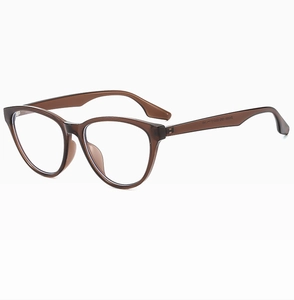 Detail of cat-eye glasses frame in transparent tea brown with silver metal hinge hinges