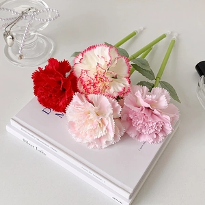 Detailed close-up of realistic carnation flower pens in various pink and red shades