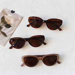 Retro cat-eye sunglasses set in tortoiseshell and translucent brown for stylish street photography