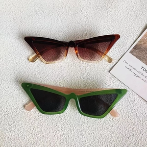 Gros plan de deux lunettes de soleil œil de chat montrant les détails des branches