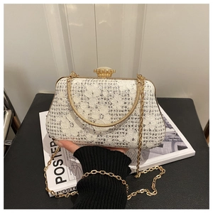 Detail of elegant lace晚宴 bag featuring sparkling sequins and a gold crown clasp