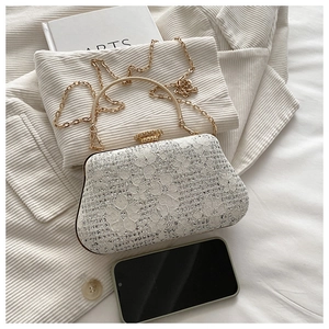 Detail of silver lace evening clutch with rhinestones, metal handle and chain strap