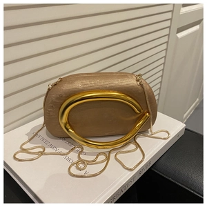 Detailed shot of champagne gold clutch bag with gold ring handle and snake chain