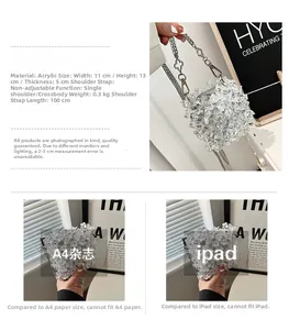 Detailed size chart for clear acrylic mini bag showing 11x13x5cm dimensions and chain