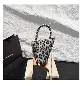 Detail of leopard print crossbody bag with gold chain strap and asymmetrical handle