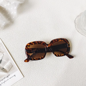 Detail of vintage oval tortoiseshell sunglasses frame with deep brown gradient lenses