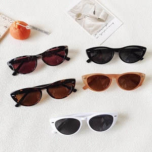 Collection of polarized cat-eye sunglasses in multiple colors on a textured white background