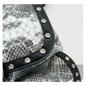 Macro shot of faux snakeskin texture with silver rhinestone studs on a black leather trim