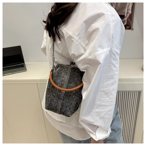 Detail of tweed doctor bag with metallic kiss-lock and chain strap shown on model