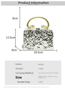 Silver acrylic box bag with golden dragon handle and textured surface details