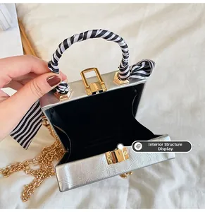 Detailed interior of silver metallic box bag with gold clasp and silk scarf handle