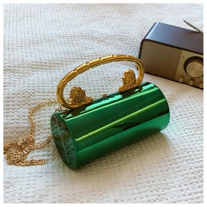 Detailed macro of green mirror acrylic cylindrical bag with golden lion head rings