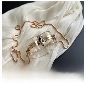 Detail of transparent acrylic bag featuring gold snake head clasp and metal chain