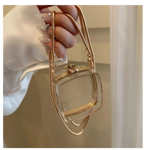 Close-up of a clear acrylic mini bag featuring gold metal cat clasp and snake chain strap
