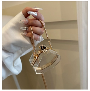 Detail of clear acrylic hexagonal bag featuring a gold snake head clasp and bone chain
