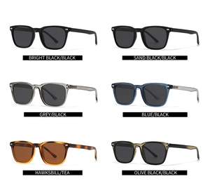 Detailed grid of six assorted polarized sunglasses with square frames and metal rivets