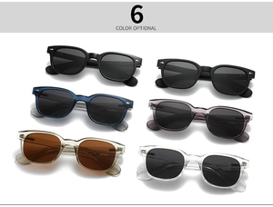 Grille détaillée de lunettes de soleil polarisées rétro montrant 6 options de couleurs