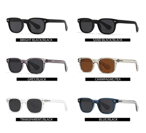 Collection de lunettes de soleil rondes polarisées en six couleurs de monture et verres