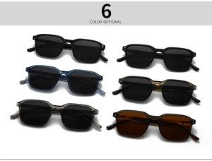 Detailed grid of six classic polarized square sunglasses in various stylish color options