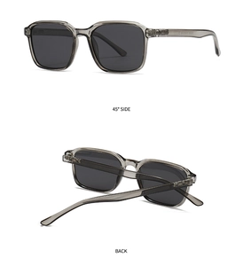 Polarized sunglasses with transparent grey frames shown from 45-degree and back views
