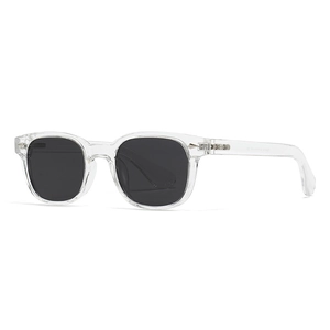 Lunettes de soleil polarisées unisexes avec monture ronde transparente et verres foncés