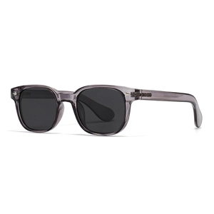 Lunettes de soleil polarisées rondes classiques avec monture gris foncé transparente