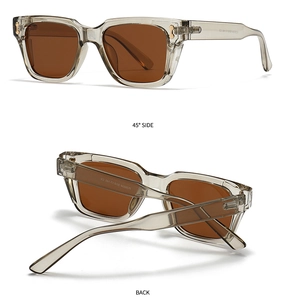 Detail view of transparent grey sunglasses frame with golden hinge and model P58034