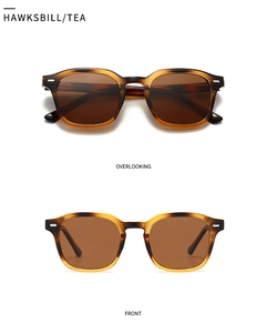 Detailansicht der polarisierten Schildpatt-Sonnenbrille mit braunen Teegläsern