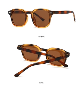 Detailansicht der Retro-Sonnenbrille mit Schildpattmuster und polarisierten Gläsern