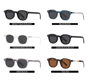 Polarized sunglasses collection in six assorted colors featuring vintage round frames