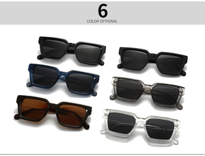 Detailed display of six color options for retro square polarized sunglasses set