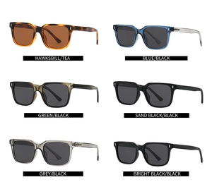 Overview of six polarized square frame sunglasses in assorted colors and lens tints