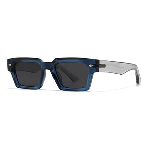 Stylish polarized sunglasses with transparent navy blue frames and silver rivet details