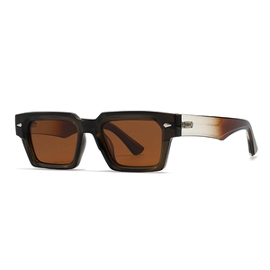 Classic polarized polygon sunglasses with thick amber resin frames and brown lenses