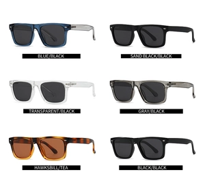 Detailed grid of six classic square polarized sunglasses in various frame colors and lenses