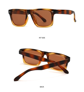 Polarized sunglasses featuring a classic tortoiseshell frame with silver rivet details