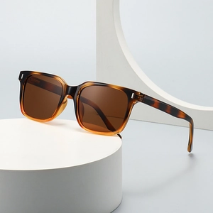 Square Polarized Sunglasses UV400 Protection Vintage Plastic Frame Unisex Fashion Eyewear For Driving Outdoor