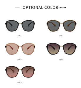 Collection of oversized TR sunglasses featuring five different color lenses and metal hinges