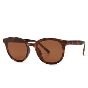 Classic oversized tortoiseshell sunglasses with brown lenses and silver rivet detailing