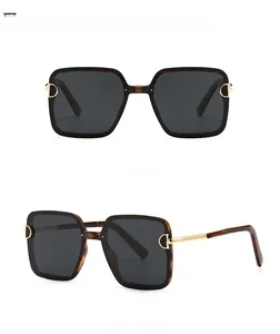 Macro view of leopard print square sunglasses with golden C-shaped metal hinge detail