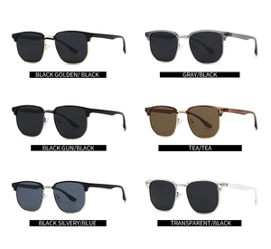 Detailed catalog showing six assorted color frames for classic polarized sunglasses