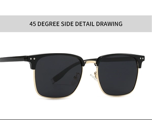 Detailed 45-degree side view of semi-rimless sunglasses with gold accents