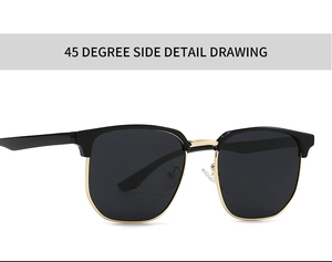 Detailed 45-degree side view of classic half-frame polarized sunglasses with gold metal trim