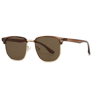 Classic browline polarized sunglasses with brown frames and golden metal rims