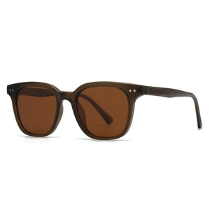Lunettes de soleil polarisées rétro avec monture marron et rivets argentés sur fond blanc