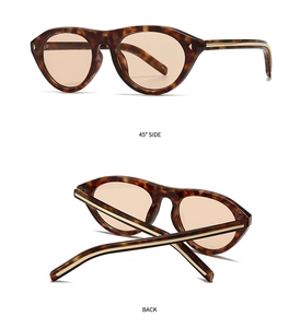 Détails de lunettes de soleil écaillées avec ornements dorés et verres ambrés